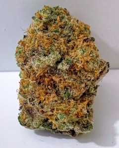 blue italian cookies by georgetown flavors strain review by budfinderdc 2