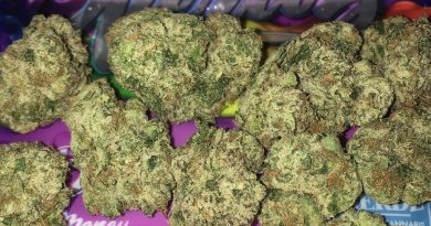 blue nerdz by sherbmoney strain review by boofbusters420