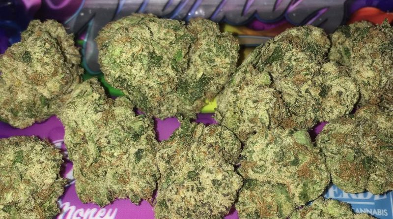 blue nerdz by sherbmoney strain review by boofbusters420