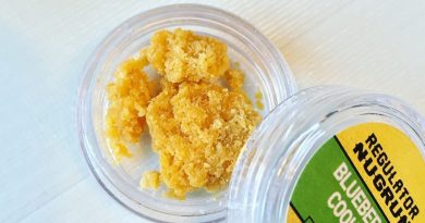 blueberry cookies sugar wax by regulator xtracts concentrate review by 502strainsheet