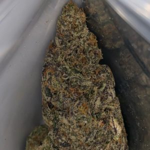 buttafingazzz by backpack boyz strain review by qsexoticreviews 2