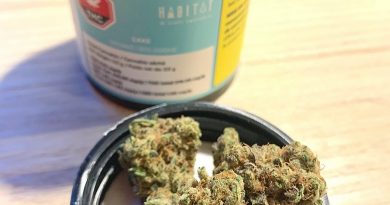 cake by habitat strain review by brandiisbaked
