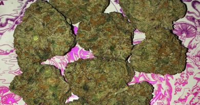 caked up cherries by lionboldt farms strain review by boofbusters420