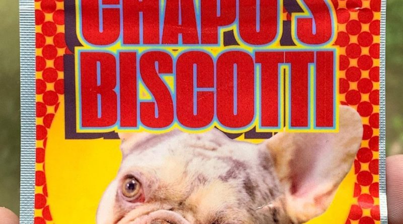 chapo's biscotti by kush rush exotics strain review by budfinderdc 2