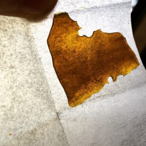 chemdawg shatter by indoor sunshine concentrate review by 502strainsheet
