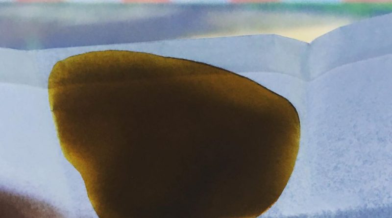 chemdawg wax by indoor sunshine concentrate review by 502strainsheet 3