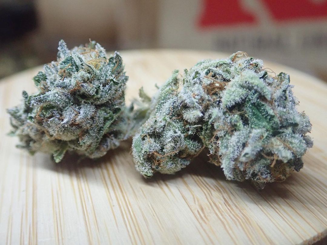 cherry cookie v2 by trichome jungle seeds strain review by the_originalcannaseur