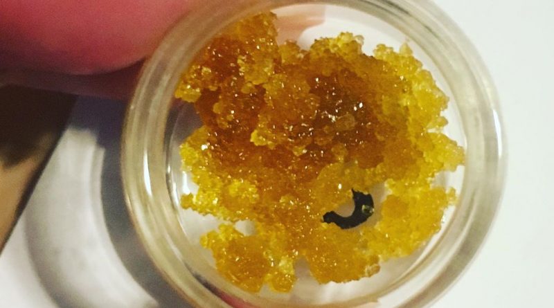 chocolate cookie sugar wax by svin garden concentrate review by 502strainsheet