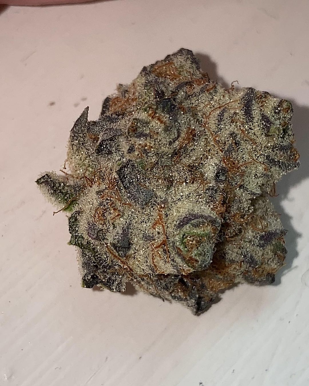 colorado cream soda by locol love strain review by no.mids