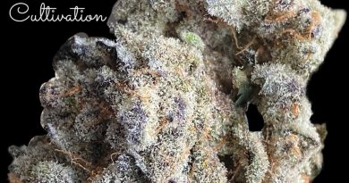 crystal cookies by resonant cultivation strain review by okcannacritic