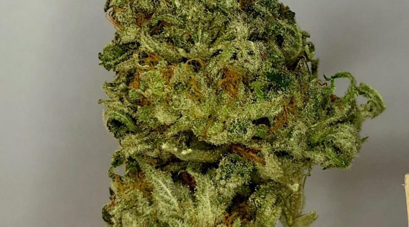 death bubba by sea to sky strain review by cannabisseur604