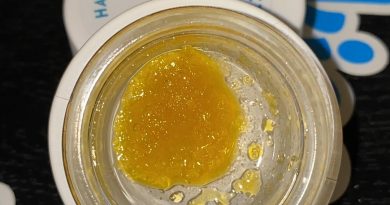 dj's gold live resin by harmony extracts concentrate review by no.mids
