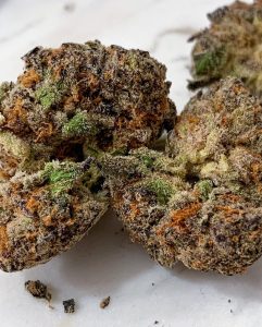 dolato by true genetics strain review by budfinder 2