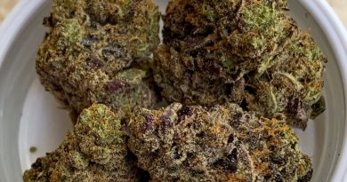 dolce gelato by cookies enterprises strain review by budfinderdc
