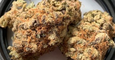 dosicake by archive seeds strain review by budfinderdc 2