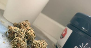 el dorado by the edison co strain review by brandiisbaked