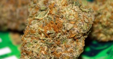 ether by the fire society strain review by bigwhiteash