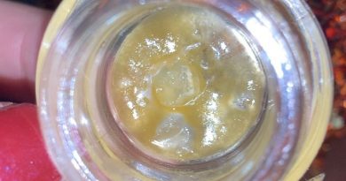 forbidden gushers diamonds by connected ca concentrate review by anna.smokes.canna
