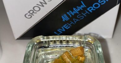 forbidden pastry live hash rosin by grow sciences concentrate review by slumpysmokes