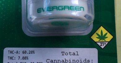 forum cookies wax by evergreen extracts concentrate review by 502strainsheet