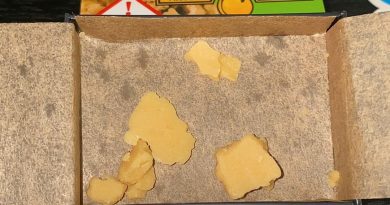 fuel biscuits wax by kayak cannabis concentrate review by no.mids