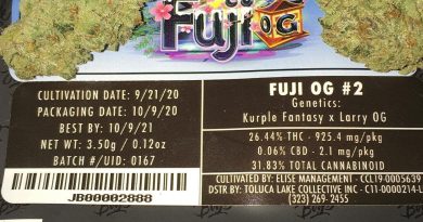 fuji og #2 by jungle boys strain review by boofbusters420