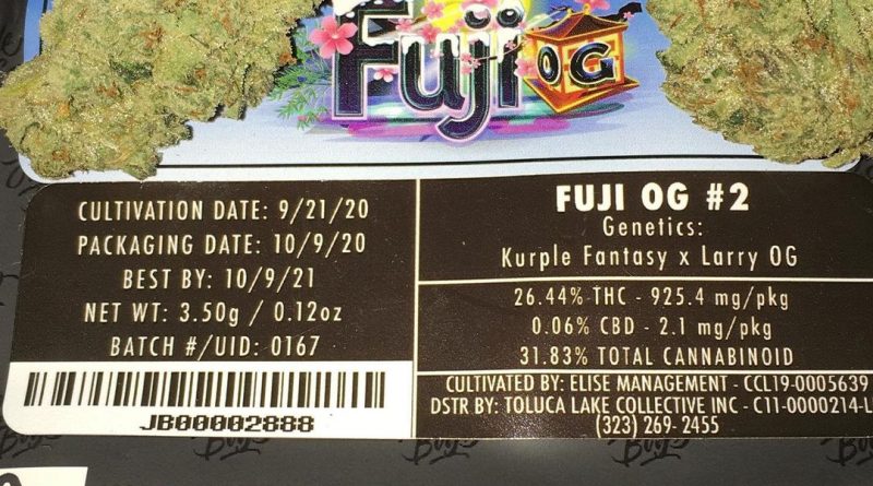 fuji og #2 by jungle boys strain review by boofbusters420