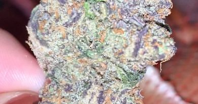 garlic grove by next green wave strain review by anna.smokes.canna