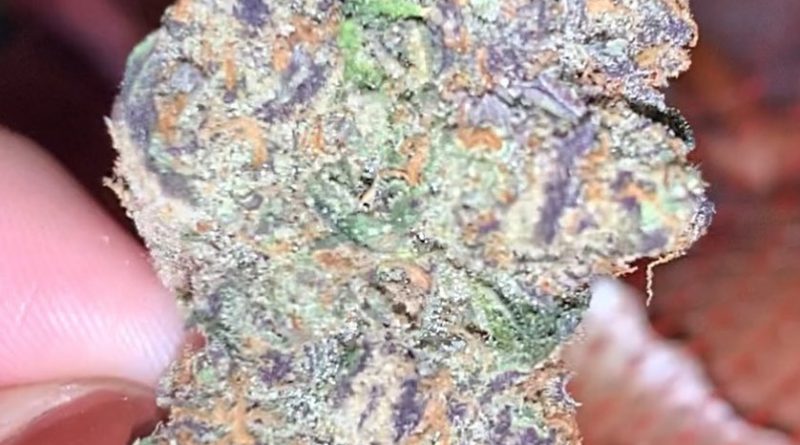 garlic grove by next green wave strain review by anna.smokes.canna