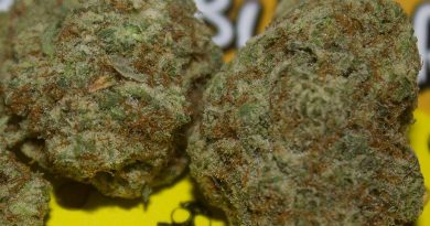 gas face peanut butter by flower child farms strain review by bigwhiteash