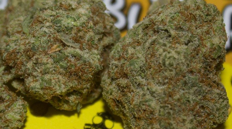 gas face peanut butter by flower child farms strain review by bigwhiteash