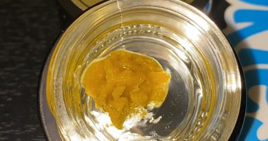 gelato live resin by organic alternatives concentrate review by no.mids