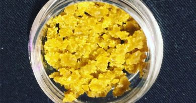 gelato wax by slab mechanix concentrate review by 502strainsheet
