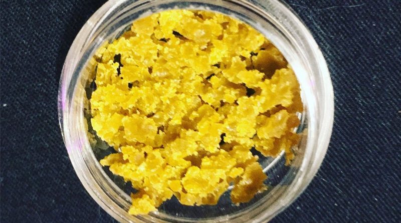 gelato wax by slab mechanix concentrate review by 502strainsheet