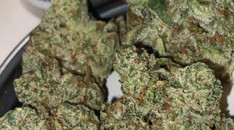 Strain Review: GG5 by Mohave Cannabis Co. - The Highest Critic