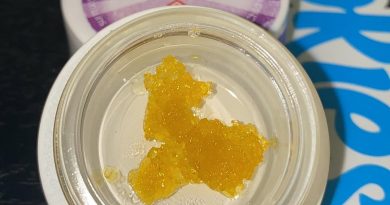 ghost domina live resin by viola concentrate review by no.mids