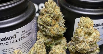 gmo by fresh baked strain review by cali_bud_reviews