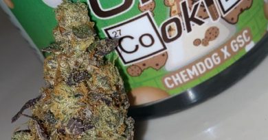 gmo cookies by tru infusion strain review by slumpysmokes