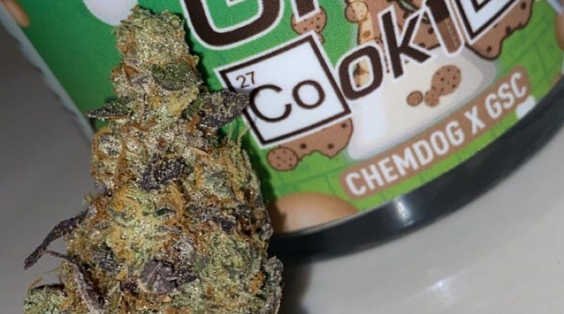 gmo cookies by tru infusion strain review by slumpysmokes