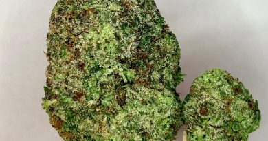 god's green crack by jordan of the islands strain review by cannabisseur604
