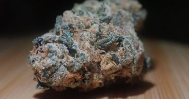 grape cake by seed junky genetics strain review by the_originalcannaseur