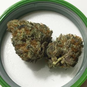 grape sugar cookies by bedford grow strain review by fullspectrumconnoisseur