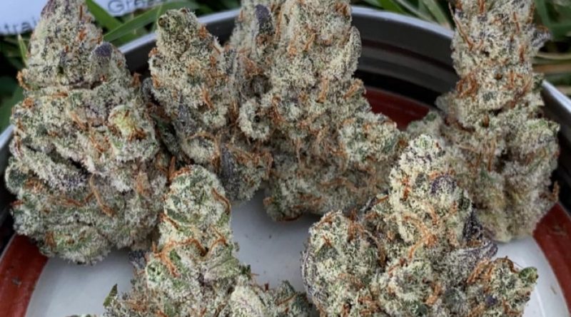 grease monkey by sonoran roots strain review by slumpysmokes