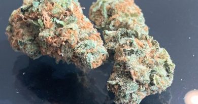 grease monkey by trichome factory strain review by the_originalcannaseur