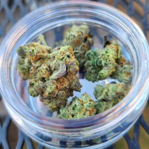 green line og by cresco cannabis strain review by fullspectrumconnoisseur