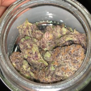 gross by the fire society strain review by qsexoticreviews 2