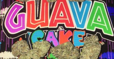 guava cake from cookies hollywood strain review by boofbusters420