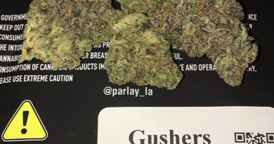 gushers by parlay strain review by boofbusters420