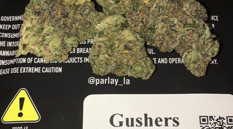 gushers by parlay strain review by boofbusters420