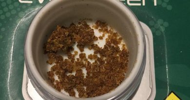 hash plant crumble by evergreen extracts concentrate review by 502strainsheet